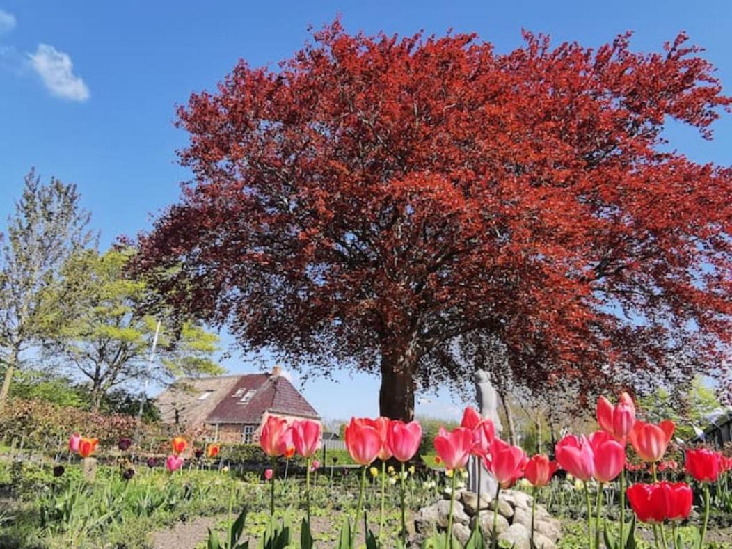 B&B Klassiek Twijzelerheide Luaran gambar